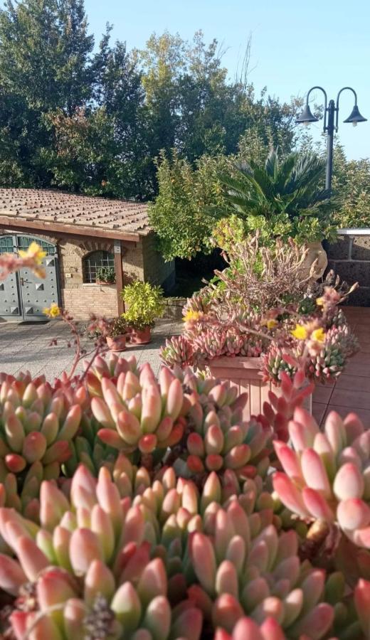 La Casa Sull'Aia,Av Santo Stefano del Sole Exterior foto